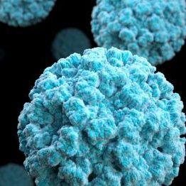 Diferencia entre norovirus y rotavirus