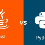 diferencia entre python y java